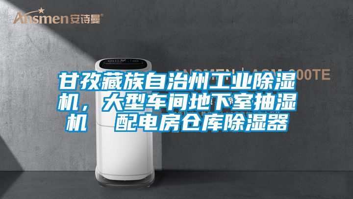 甘孜藏族自治州工業(yè)除濕機，大型車間地下室抽濕機  配電房倉庫除濕器