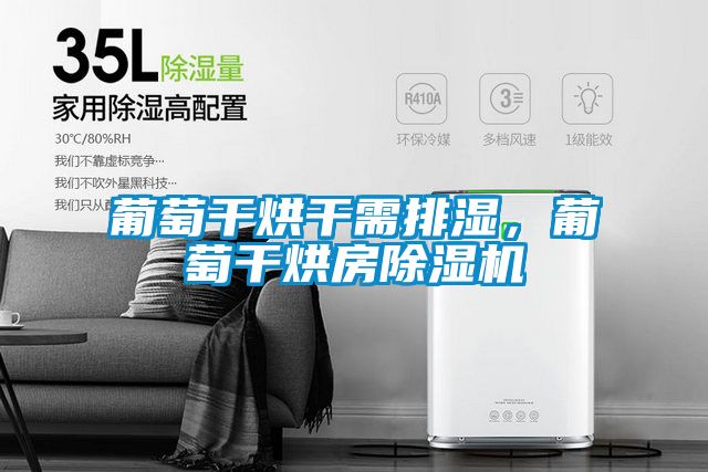 葡萄干烘干需排濕，葡萄干烘房除濕機(jī)