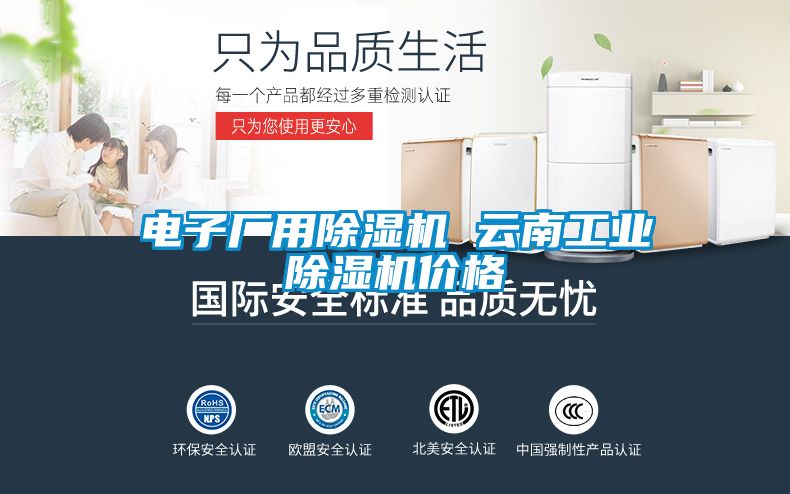 電子廠用除濕機 云南工業(yè)除濕機價格