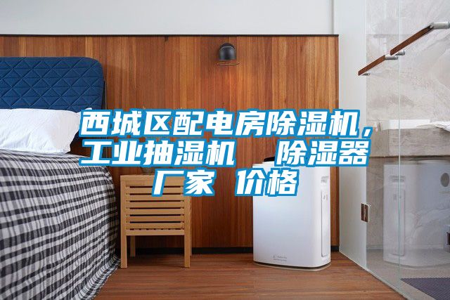 西城區(qū)配電房除濕機，工業(yè)抽濕機  除濕器廠家 價格