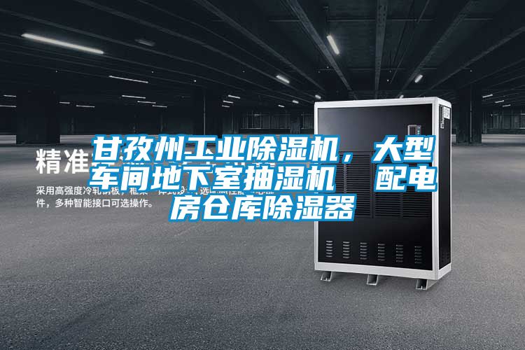 甘孜州工業(yè)除濕機，大型車間地下室抽濕機  配電房倉庫除濕器