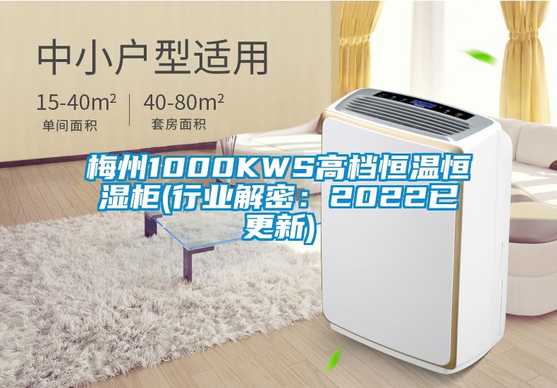 梅州1000KWS高檔恒溫恒濕柜(行業(yè)解密：2022已更新)