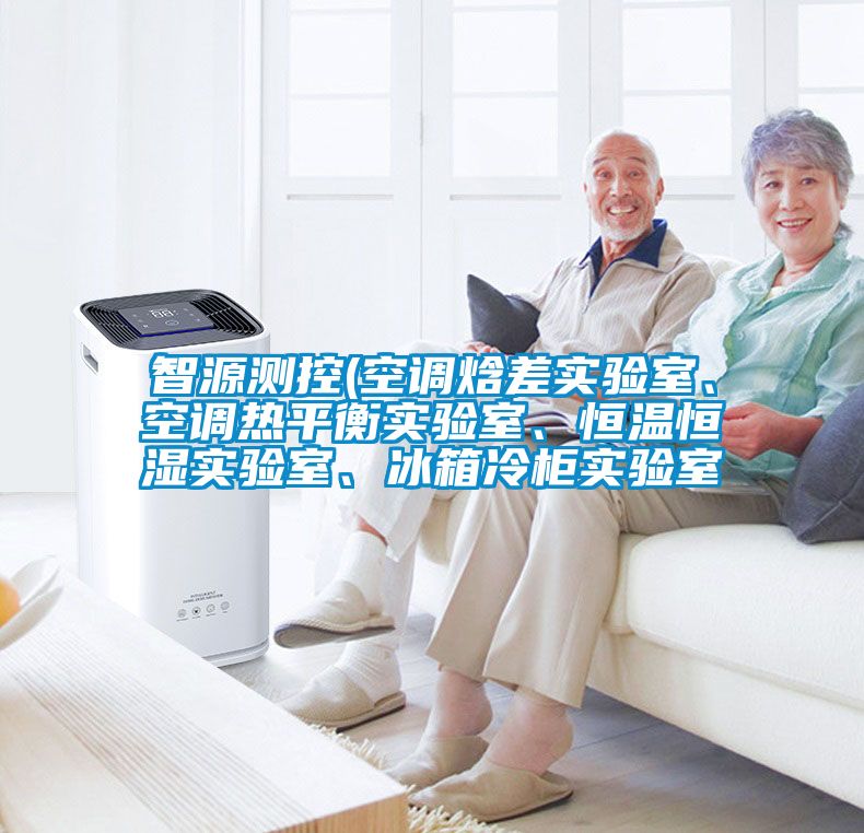 智源測控(空調(diào)焓差實驗室、空調(diào)熱平衡實驗室、恒溫恒濕實驗室、冰箱冷柜實驗室