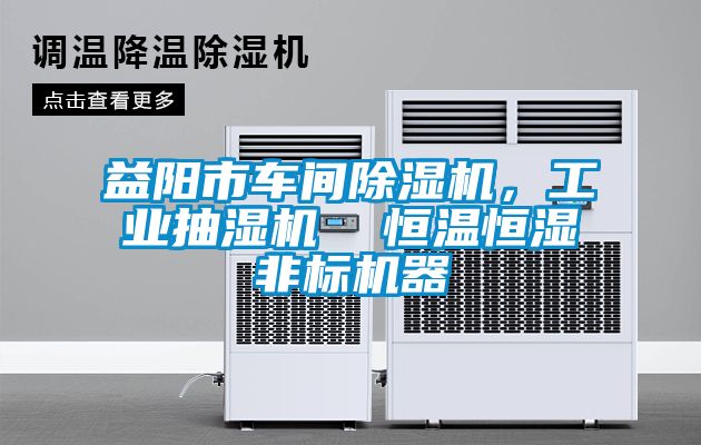 益陽市車間除濕機，工業(yè)抽濕機  恒溫恒濕非標機器