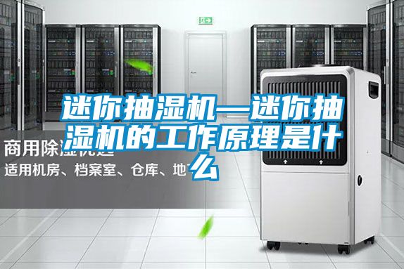 迷你抽濕機—迷你抽濕機的工作原理是什么