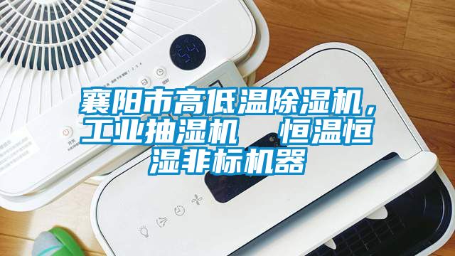 襄陽市高低溫除濕機，工業(yè)抽濕機  恒溫恒濕非標機器