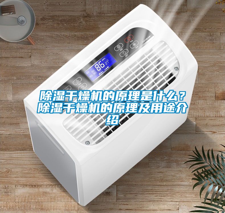 除濕干燥機的原理是什么？除濕干燥機的原理及用途介紹