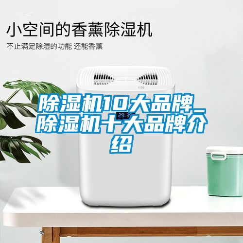 除濕機(jī)10大品牌_除濕機(jī)十大品牌介紹