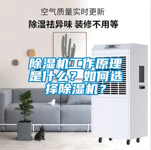 除濕機(jī)工作原理是什么？如何選擇除濕機(jī)？