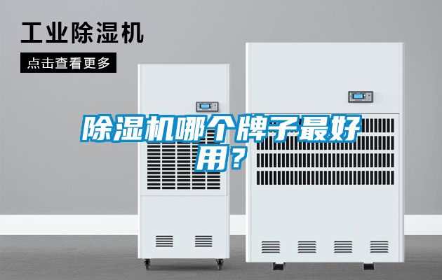 除濕機(jī)哪個牌子最好用？