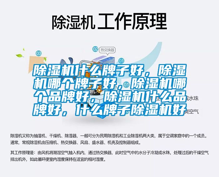 除濕機什么牌子好，除濕機哪個牌子好，除濕機哪個品牌好，除濕機什么品牌好，什么牌子除濕機好