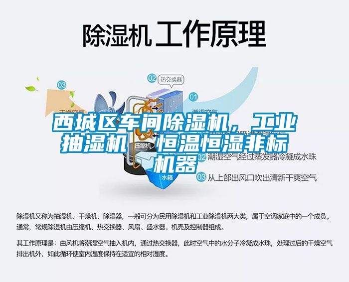 西城區(qū)車間除濕機，工業(yè)抽濕機  恒溫恒濕非標機器