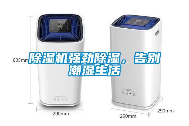 除濕機(jī)強(qiáng)勁除濕，告別潮濕生活
