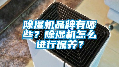 除濕機品牌有哪些？除濕機怎么進行保養(yǎng)？