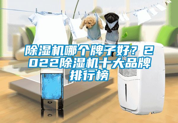 除濕機(jī)哪個牌子好？2022除濕機(jī)十大品牌排行榜