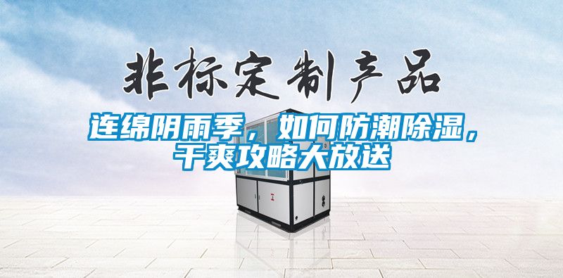 連綿陰雨季，如何防潮除濕，干爽攻略大放送