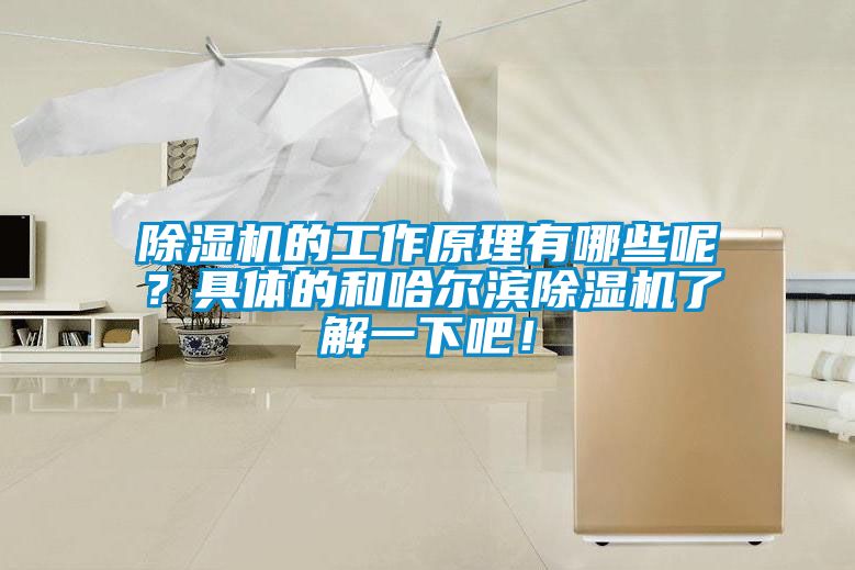 除濕機的工作原理有哪些呢？具體的和哈爾濱除濕機了解一下吧！