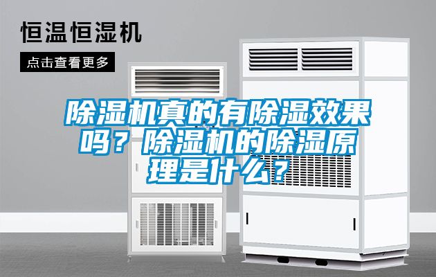 除濕機(jī)真的有除濕效果嗎？除濕機(jī)的除濕原理是什么？