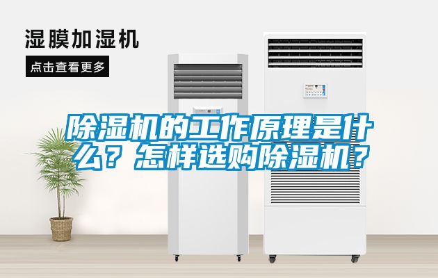 除濕機(jī)的工作原理是什么？怎樣選購除濕機(jī)？