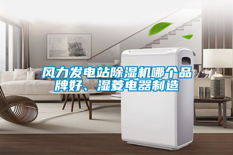 風(fēng)力發(fā)電站除濕機(jī)哪個品牌好、濕菱電器制造